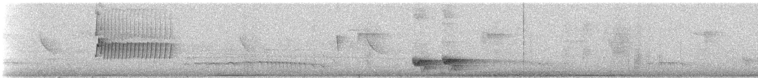 Southern Bristle-Tyrant - ML621823416