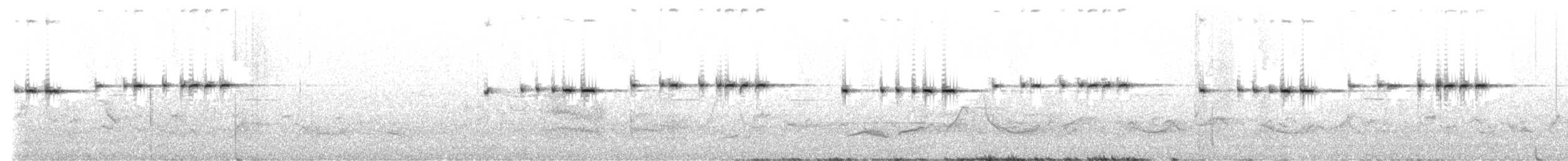 Spotted Elachura - ML621835505