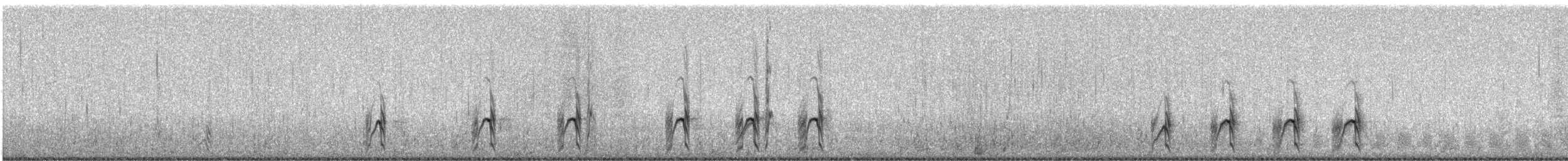 Chorlitejo Semipalmeado - ML621838817