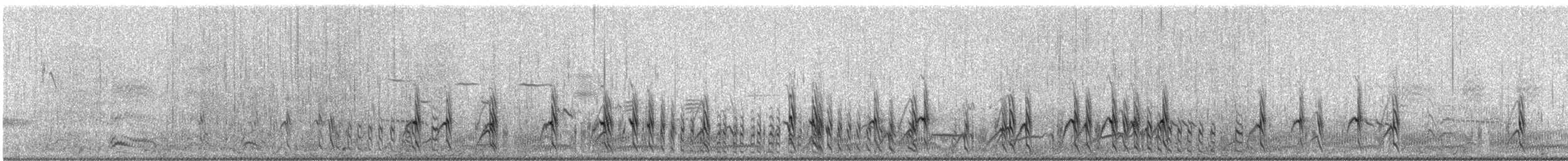 Chorlitejo Semipalmeado - ML621838818