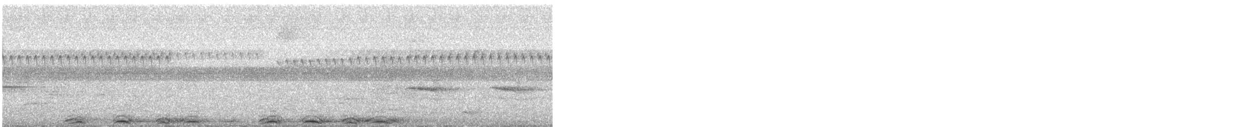 Barred Owl - ML621840508