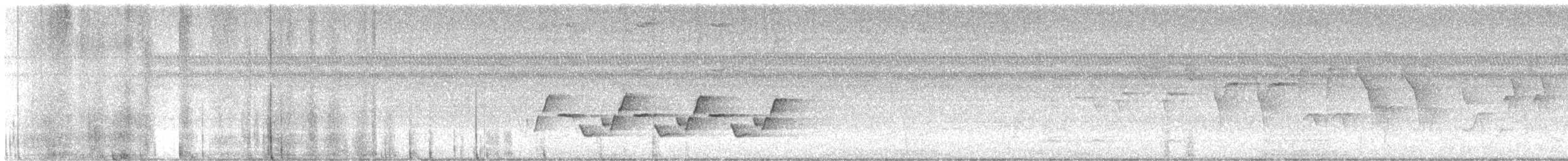 Carolina Wren - ML621843623