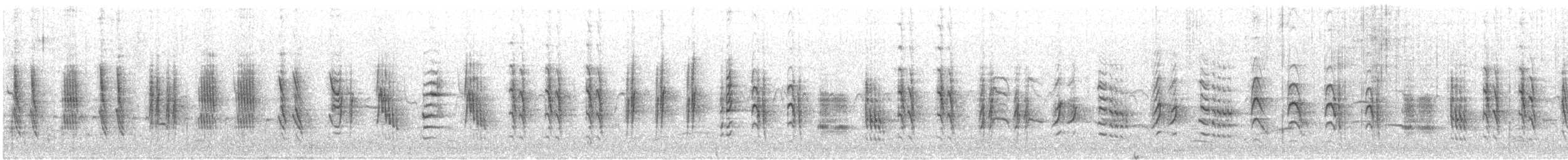 Очеретянка ставкова (підвид scirpaceus) - ML621848741