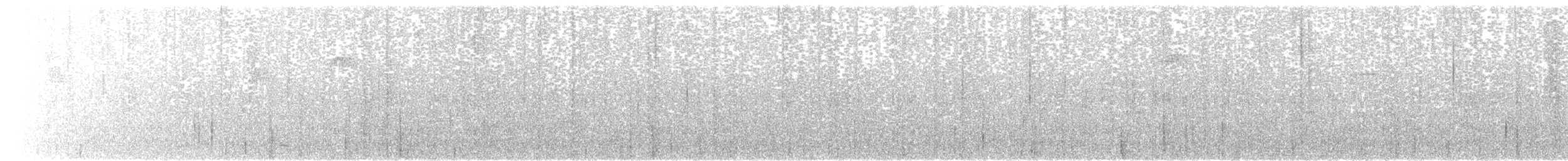 Grünband-Sonnennymphe - ML621856099