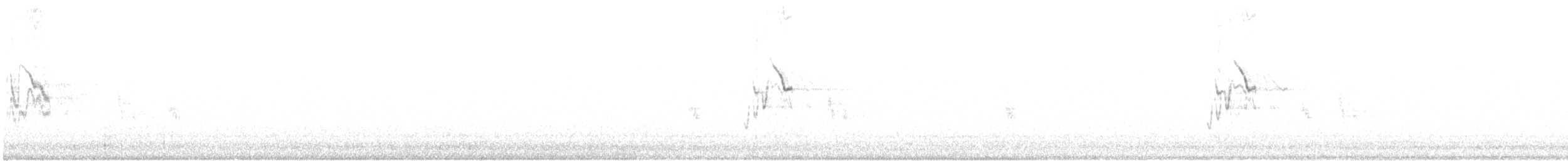 konipas bílý (ssp. lugens) - ML62185781