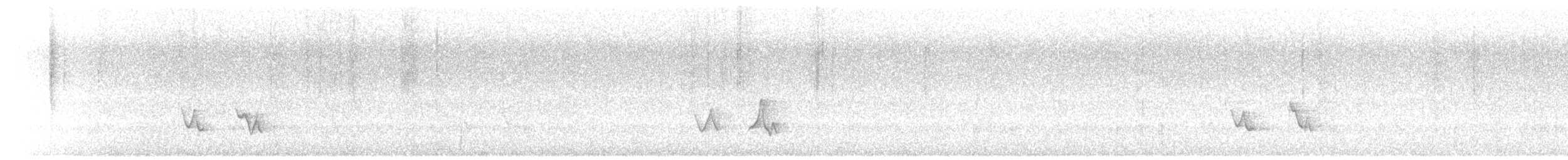 Black-whiskered Vireo - ML621858405