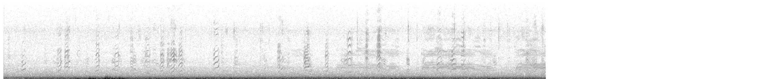 zoboun americký (ssp. cinerascens) - ML621861869