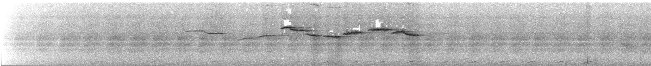 Rufous-browed Flycatcher - ML621862475