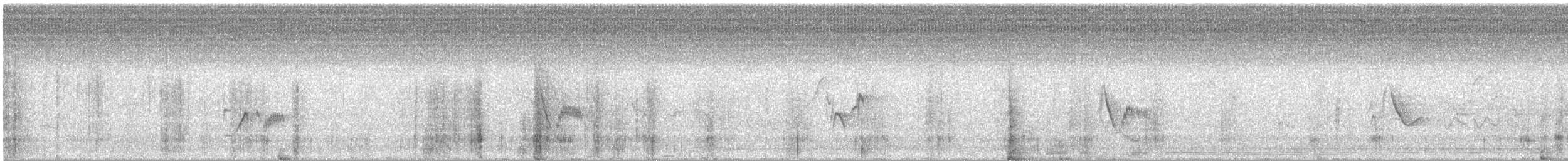 Cassin's Vireo - ML621863068