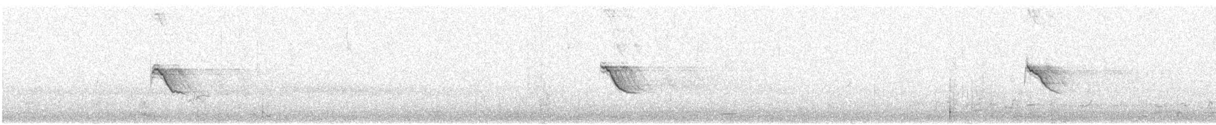 Musk Duck - ML621864982