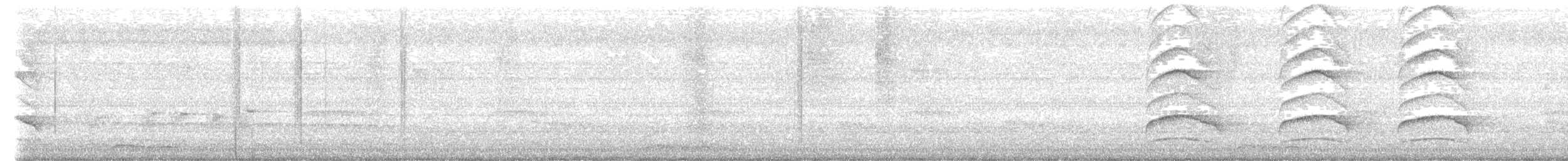 Banded Woodpecker - ML621869962