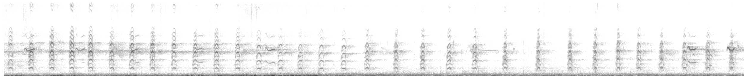 Schwarznacken-Stelzenläufer (mexicanus) - ML621876825