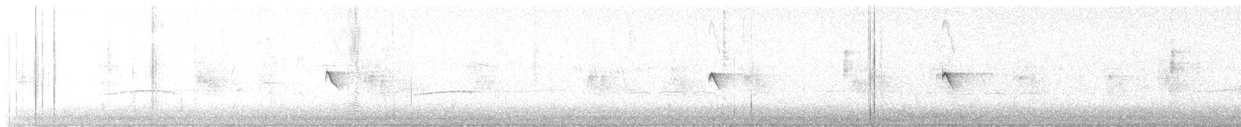 Black Phoebe - ML621877770