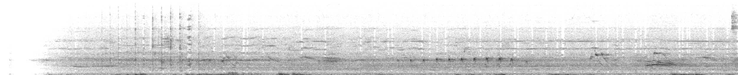 Band-tailed Pigeon - ML621879303