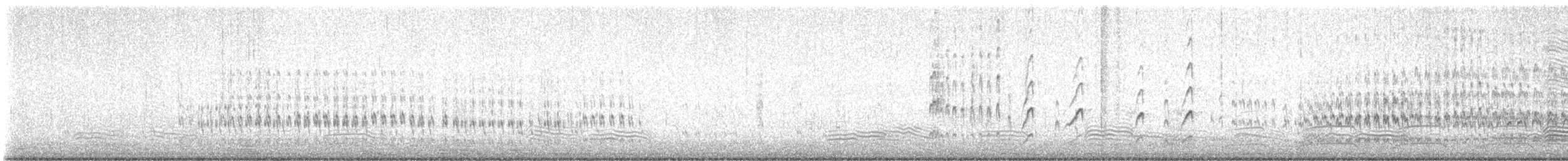 Black Turnstone - ML621880962