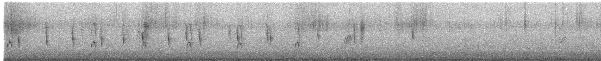 Olivaceous Woodcreeper - ML621885105