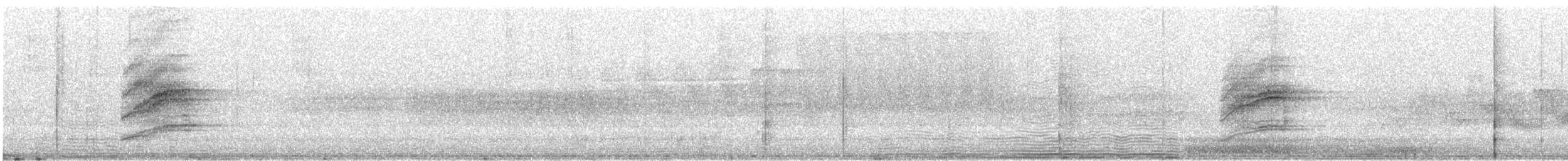 Дрізд-короткодзьоб плямистоволий - ML621891131
