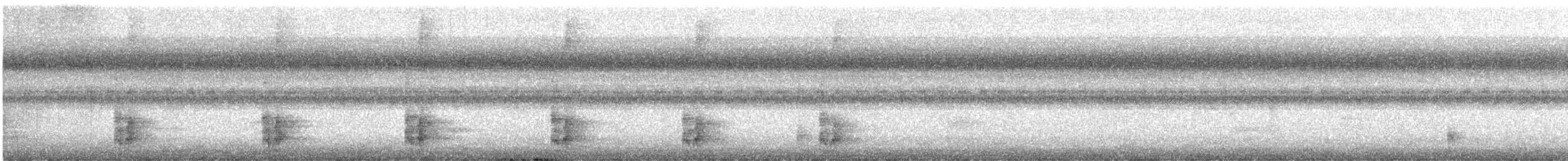 White-headed Wren - ML621893512