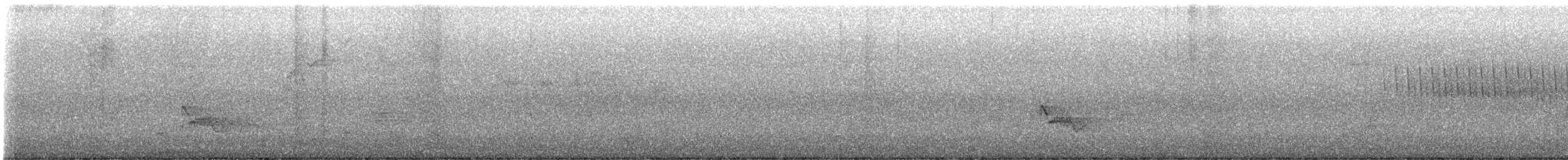vireo sp. - ML621899987