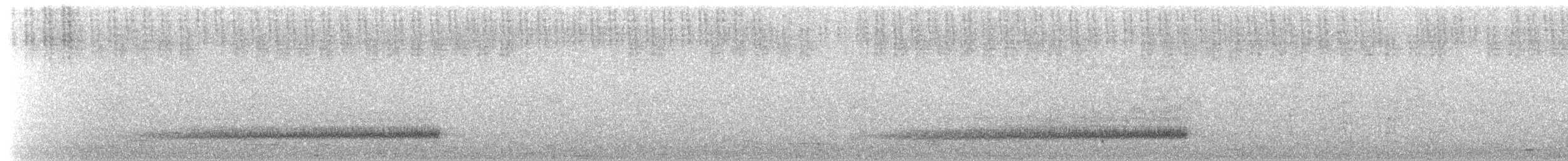 Сипуха крапчаста - ML621900001