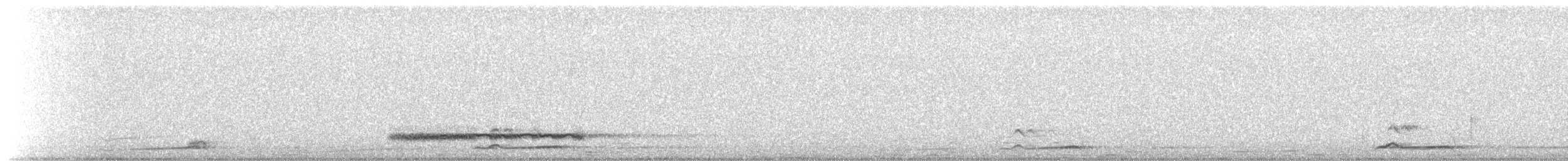 Сипуха крапчаста - ML621900026