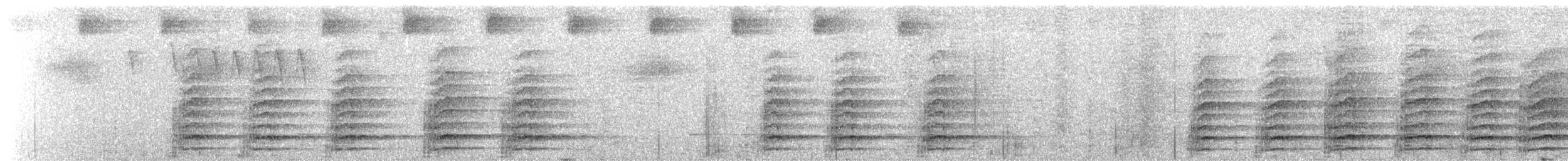 Plate-billed Mountain-Toucan - ML621902208