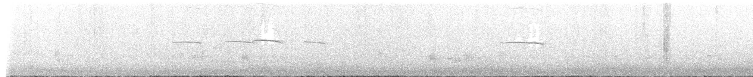 Buztanori japoniarra - ML621903653