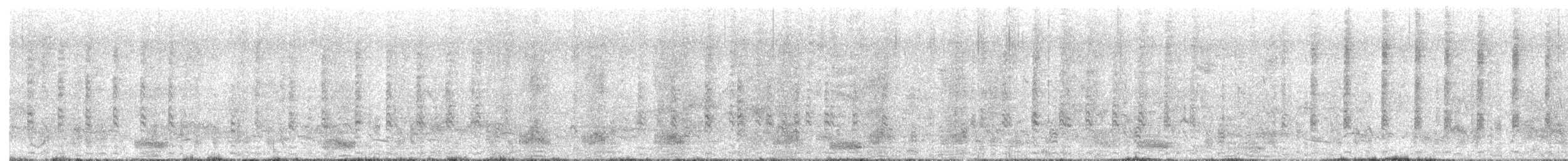 dvergskarv - ML621905585