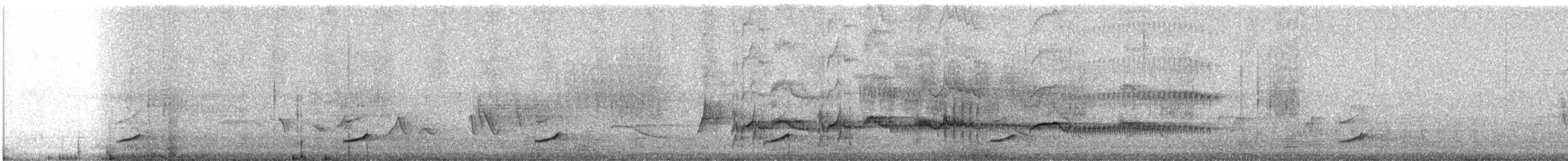 Phénopèple luisant - ML621923212