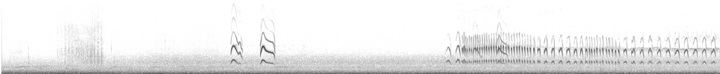 Common Miner - ML621924362