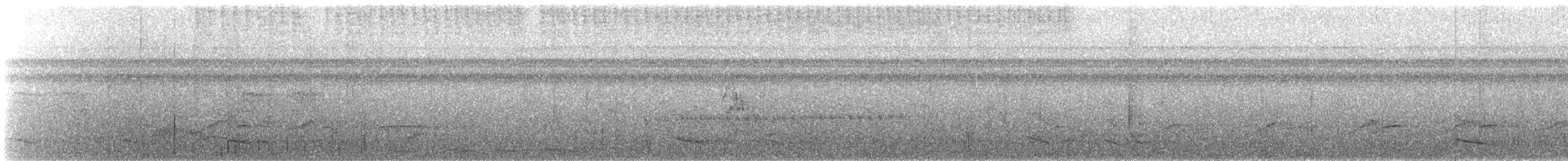 Bright-rumped Attila - ML621931251