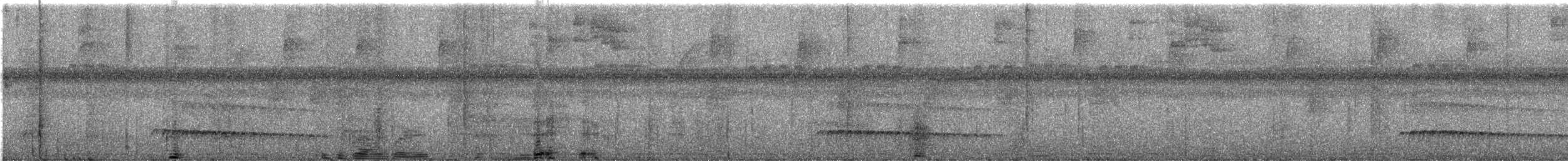 Batarito Coronipunteado - ML621931725