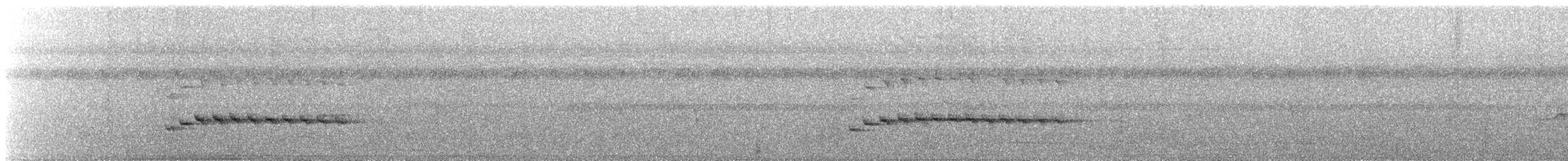 Long-billed Gnatwren - ML621932594