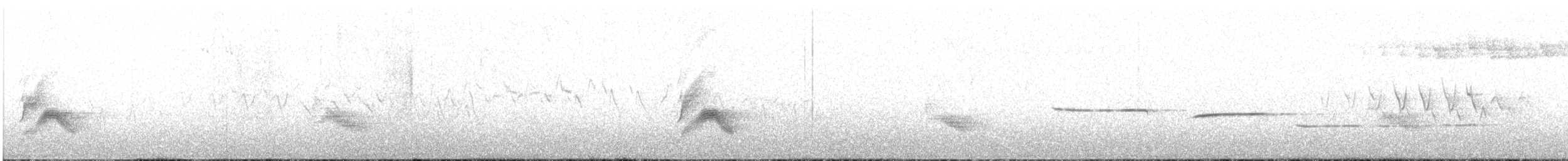 Bicknell Bülbül Ardıcı - ML62193431