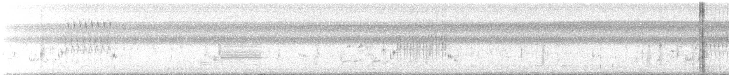 Marsh Wren - ML621934786