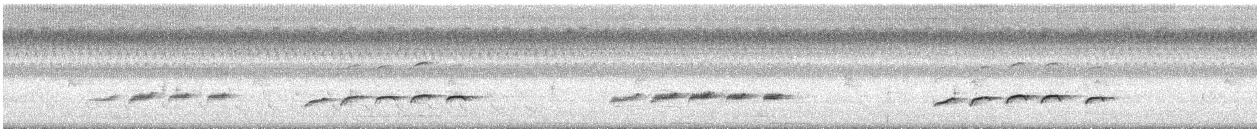 Guajolote Gallipavo - ML621936143