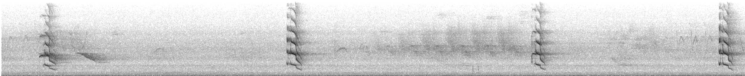 gullspett - ML621937060