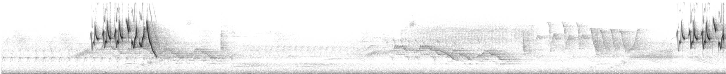 brunsideparula - ML621937065