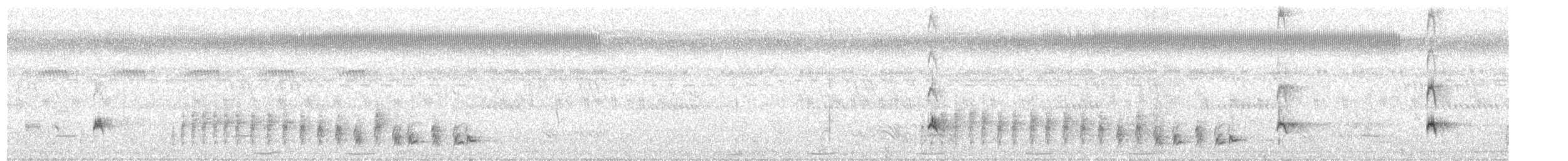 Rosy Bee-eater - ML621937149