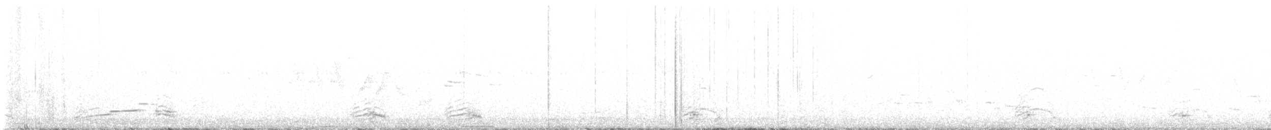holub skalní (domácí) - ML621942739