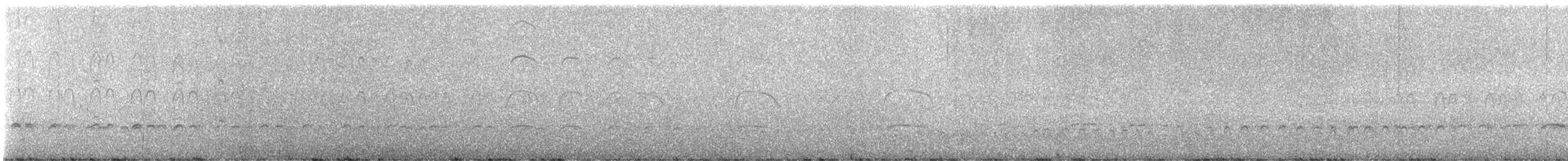 Black Oystercatcher - ML621945798