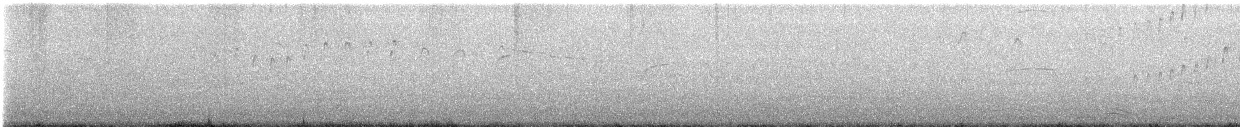 Pigeon Guillemot - ML621945947