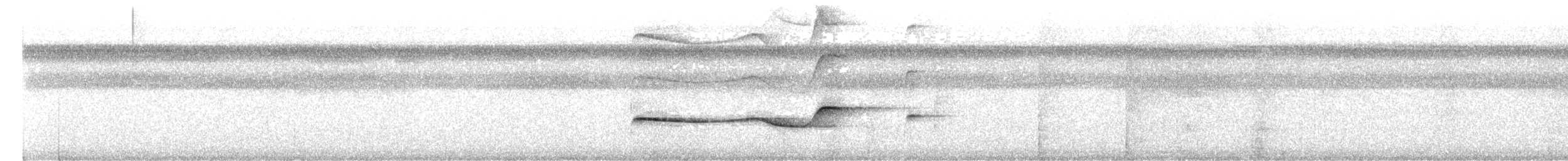 Olivaceous Schiffornis - ML621946692