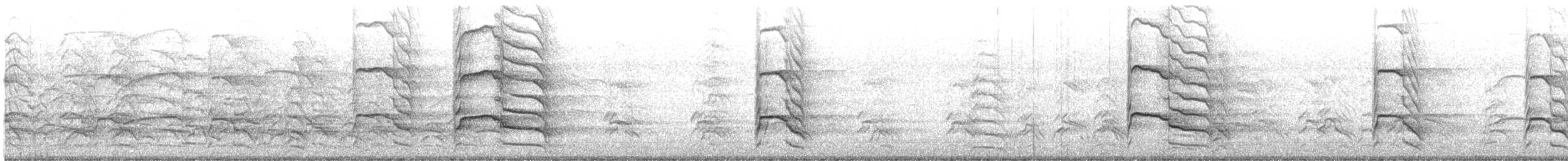 Common Gull - ML621948943