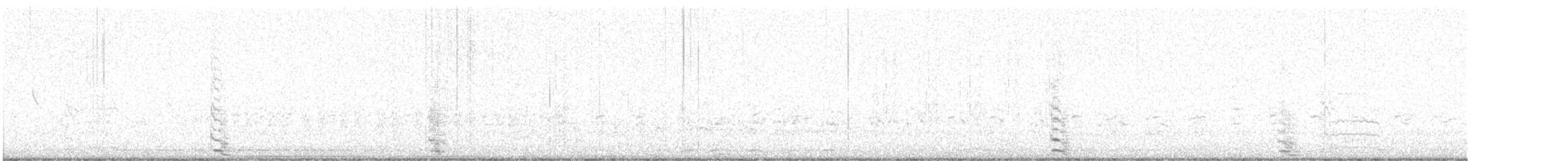 Coscoroba Swan - ML621948983