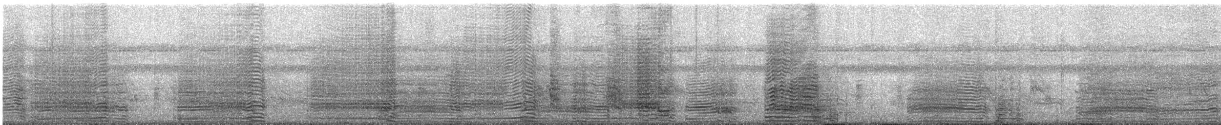 nesyt americký - ML621953704