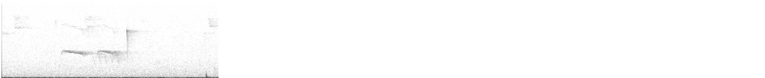 Tumbesschnäppertyrann - ML621955405