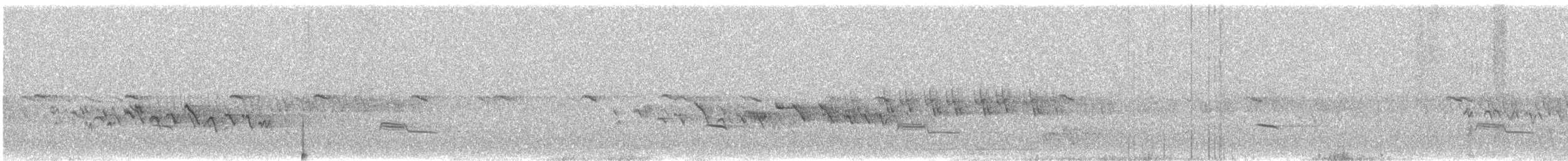 Siberian Thrush - ML621956602