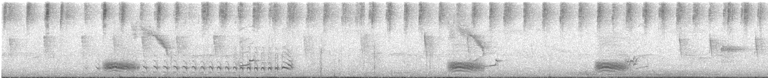 Bindenameisenwürger - ML621961110