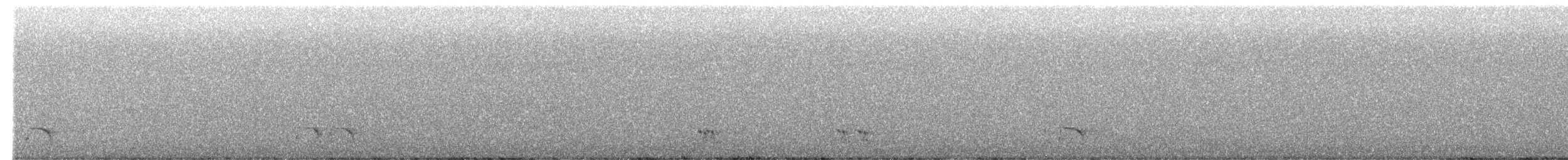 Regent Honeyeater - ML621967347